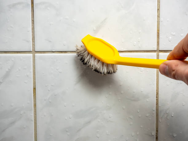Best Mold Removal Near Me  in East Pittsburgh, PA
