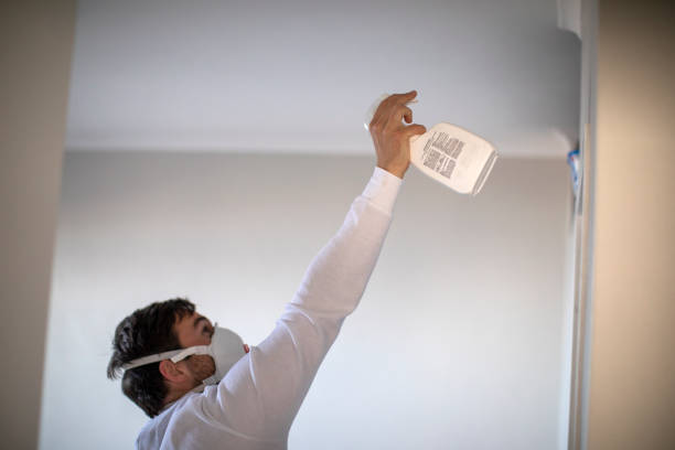 Certified Mold Removal in East Pittsburgh, PA
